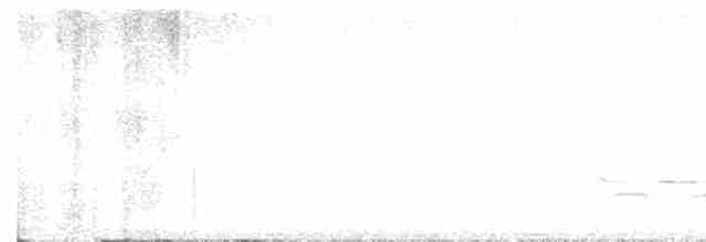 Дрізд-короткодзьоб плямистоволий - ML619744573