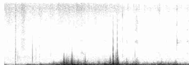 Common Yellowthroat - ML619744729