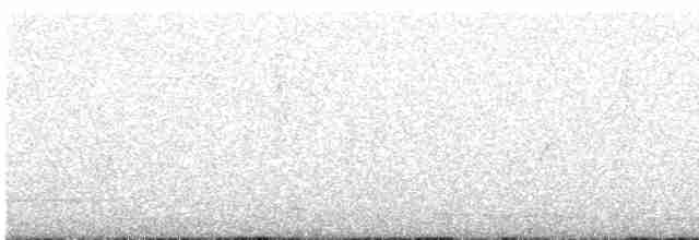 Серогрудый тиранн - ML619745330