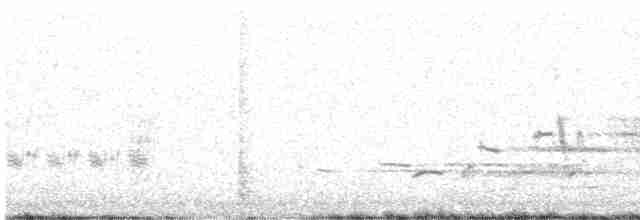 Дрізд-короткодзьоб плямистоволий - ML619750064