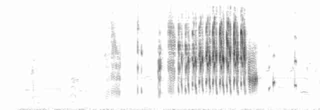 střízlík bažinný [skupina palustris] - ML619751962