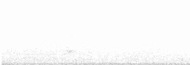 Австралийская султанка - ML619753739