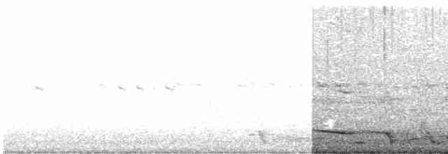 Avustralya Saksağanı - ML619754055