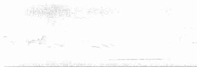 Pouillot de Whistler - ML619754655