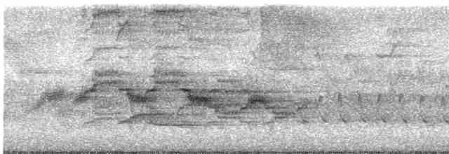 Дрізд-короткодзьоб бурий - ML619754897