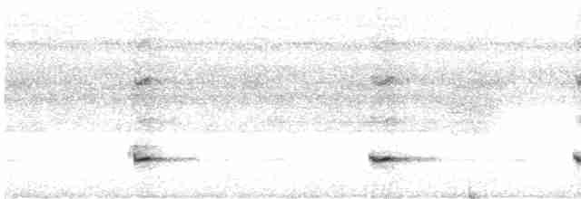 Small-billed Tinamou - ML619755439