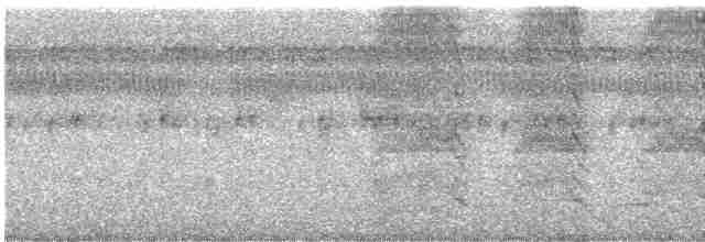 Copetón de Swainson - ML619755448