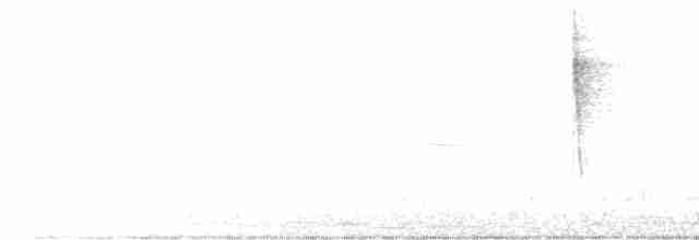 gulparula (aestiva gr.) - ML619757350