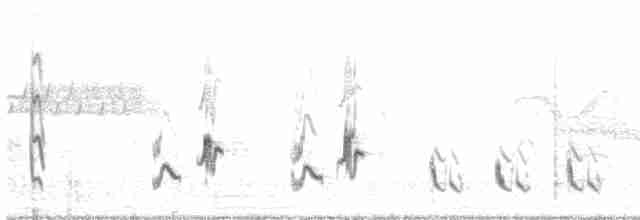 Cuitlacoche Ocelado - ML619757570
