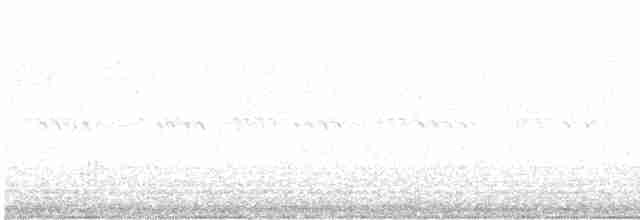 Black-crowned Night Heron - ML619757613