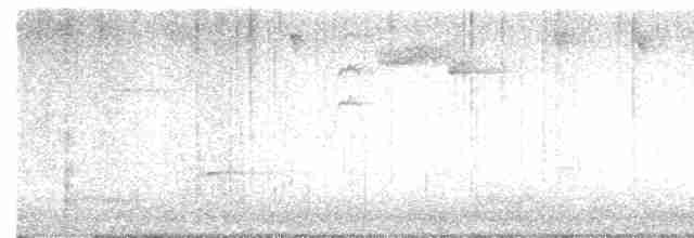 Малая вильсония - ML619759022