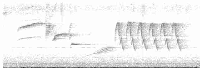 Длиннохвостый крапивник - ML619759034