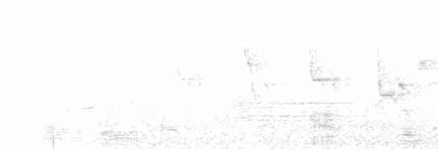 Кропив’янка чорноголова - ML619760891