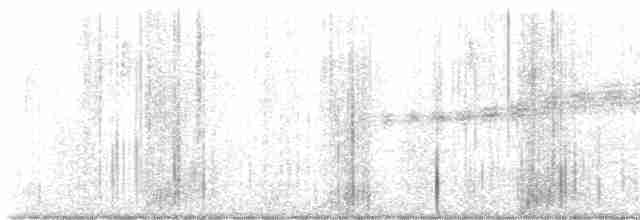 Prairie Warbler - ML619760927