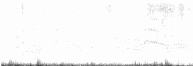 Common Tern - ML619761086