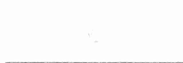 Sarı Karınlı Boreal Sinekkapan - ML619762261