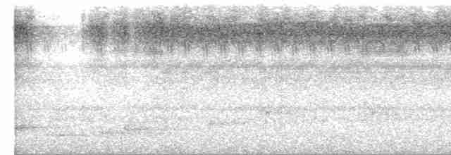 Gray-bellied Cuckoo - ML619763213