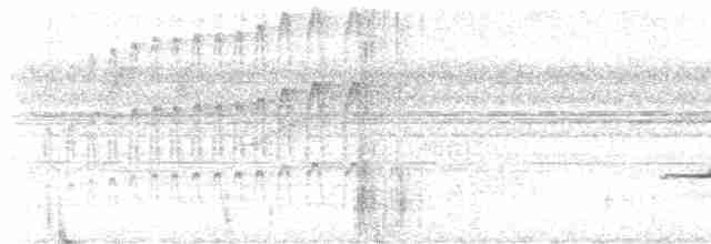 Kara Karınlı Yazılı Ağaçkakan - ML619763214