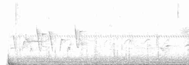 Paruline à gorge grise - ML619763659