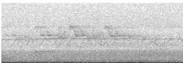 Kara Kanatlı Piranga - ML619763798