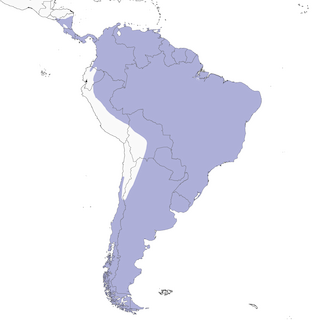 Distribution of the Southern Lapwing - Range Map