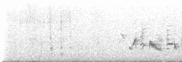 pěnice pokřovní (ssp. althaea) - ML619764630