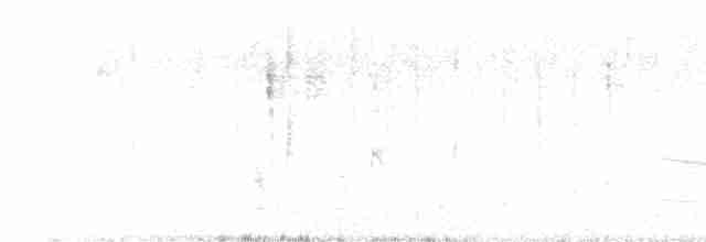 tyranovec malinký - ML619765181