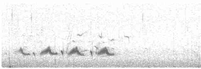 Western Orphean Warbler - ML619765272