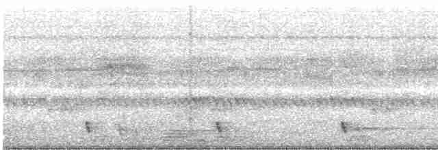 黃嘴角鴞 - ML619765575