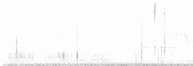 Черноспинный трёхпалый дятел - ML619767185