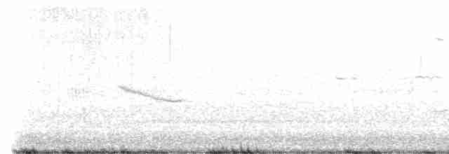 Common Yellowthroat - ML619768592