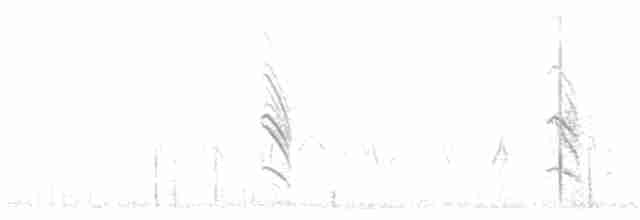 mursvale (pyrrhonota gr.) - ML619768672