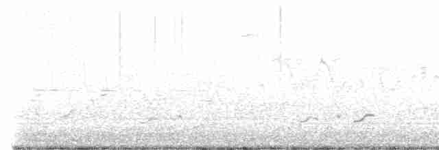 ハジロオオシギ（semipalmata） - ML619768674