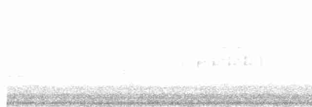 Bataklık Çıtkuşu [plesius grubu] - ML619772049