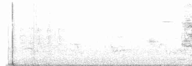 drozdec černohlavý - ML619772361