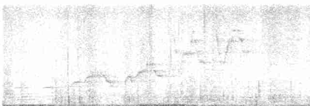 Дрізд-короткодзьоб Cвенсона - ML619772615