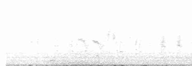Great Reed Warbler - ML619772651