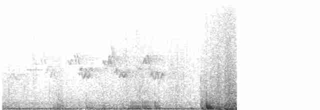 Черногорлая хвойница - ML619773464