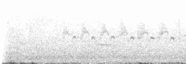 Kaya Çıtkuşu - ML619775263