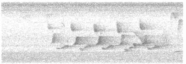 Каролинский крапивник - ML619775439