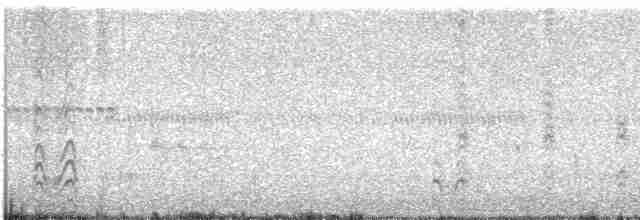 Крячок чорнодзьобий - ML619776679