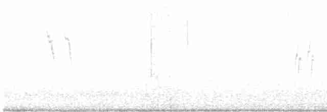 Sperlingsvogel, unbestimmt - ML619781039