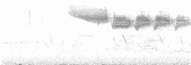 סבכון זהוב-כנף - ML619781878