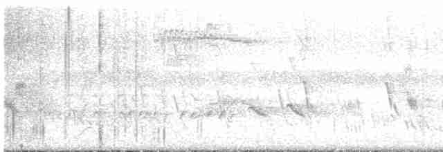 Büyük Mor Kırlangıç - ML619782571