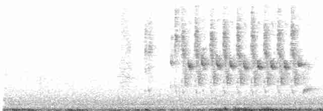 střízlík bažinný [skupina palustris] - ML619788221
