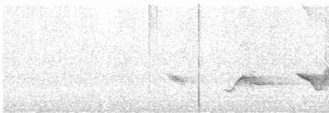 Kara Kanatlı Piranga - ML619789449