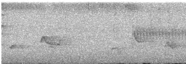 Пересмішник сірий - ML619791846