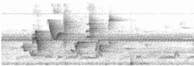 Turuncu Gagalı Bülbül Ardıcı - ML619793132