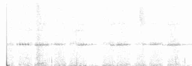 sova srílanská - ML619795361