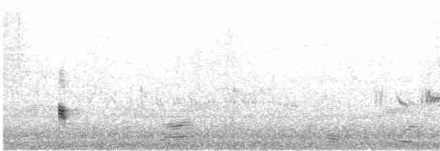 西方秧雞 - ML619796365